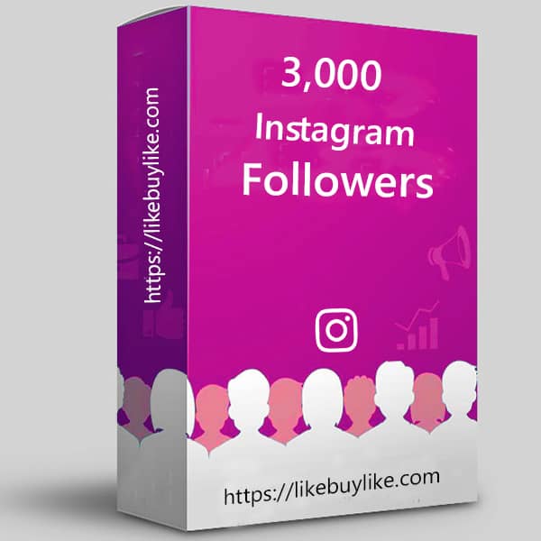 Buy 3000 Instagram followers